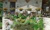 Bed & Breakfast C� D' Fefi