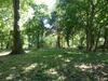 Apartamento Ferienwohnung Mit Brockenblick