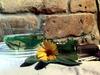 Apartamento Urlaub Im Oberst�bchen