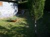 Apartamento Villino Le Piane
