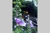 Maison 18 Pers. En Sud Ard�che, � 2 Pas D'aubenas