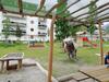 Apartamento Fewo Paul