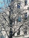 Apartamento Nina ? Parchi E Fiume