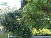 Bed & Breakfast La Vecchia Locanda
