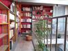 Bed & Breakfast La Salamandre En Provence