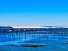 Apartamento Location De Vacances Bassin Arcachon