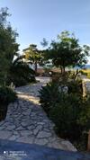 Case Cala Bucerno