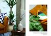 Apartamento Al Convento - Lofty Nest Nearby Everything
