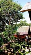 Hostal Dusitbungalow