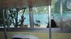 Albergue Chaokoh Phi Phi Resort And Dorm Room