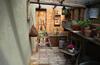 B&B Lady Cocca