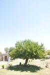 Apartamento Tenuta Tredici Ulivi