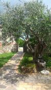 Apartamento La Locanda Della Picciolana