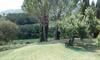 Agroturismo Colle Cornetto