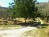 B&B Toffia