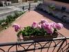 Apartamento Casa Marina