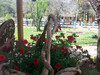 Hotel Hacienda Club La Diligencia