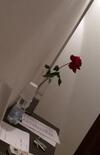 Bahiaincantata B&B Reggio Calabria