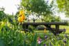 Apartment Tri Mudraca