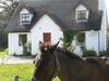 Villa Letterfrack Mountain Farm Cottage