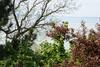 Apartamento Gy�ngy Villa