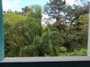 Apartamento P� Na Areia Pi�arras