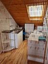 Tavir�zsa Apartman