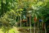 Hotel Fazenda Pommernland