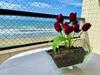 Apartamento T902 - Residencial Paulo Roberto - 902 A