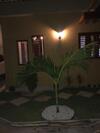 Lodge Espa�o Verde Residence - Flecheiras