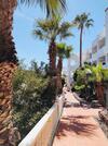 Apartamento Amarilla Golf 2c3