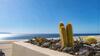 Los Gigantes Cliffs Apartment