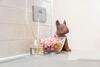 ? Candy-chic 1 Bedroom Apartment - City Centre ?