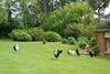 Bed & Breakfast La Grange Des Marettes