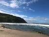 Puffins Nest