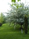 Bed & Breakfast Chambre D'h�tes "lumi�re Et Qui�tude"