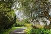 9pax Bintangcottage Cameronhighlands *?????*