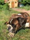 Haus Alwine