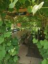 Hostal Sz�chenyi Vad�szh�z