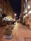 Apartment In Serbska Lviv