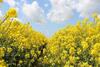 Apartamento Ferienhaus Brauer, Westmarken