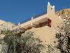 Riad Zitun