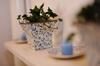 Bed & Breakfast Une Chambre � La Campagne