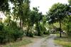 Hostal Podere Fonternaccia