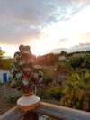 B&B Villa Sara Falconara