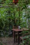 Hostal Finca Los Abuelos - La Planta