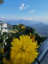 Bed & Breakfast Skyview Amber Court, Genting Highlands