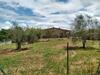 Agriturismo Strada Ortana 14, E