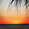 238 Surf Song Resort