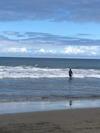 Ocean Front Antique House, Private Beach!
